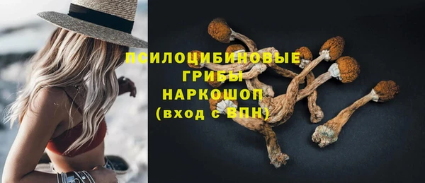 COCAINE Богородицк