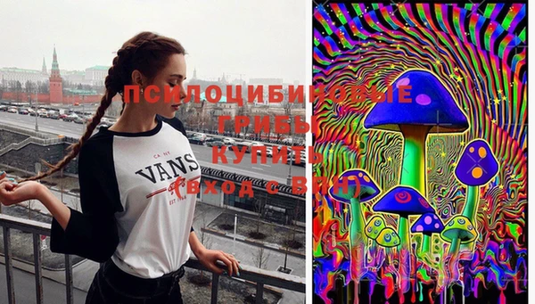 COCAINE Богородицк