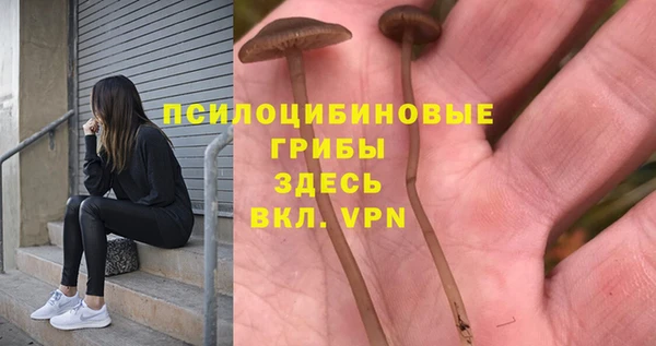 ALPHA PVP Богородск