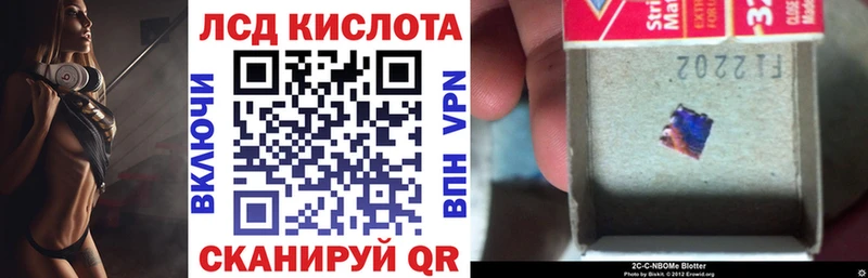 Марки NBOMe 1500мкг  Купить где  Беломорск 