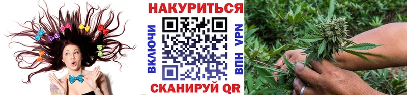Бошки Шишки план  Купить  Беломорск 